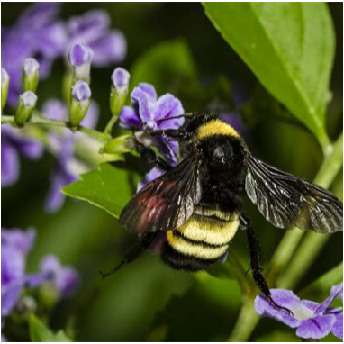 etxrnl777's profile picture. yes