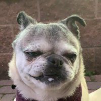 WookT (@corypawlicki) 's Twitter Profile