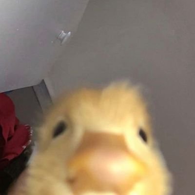 emanuelle_cc's profile picture. just somebody