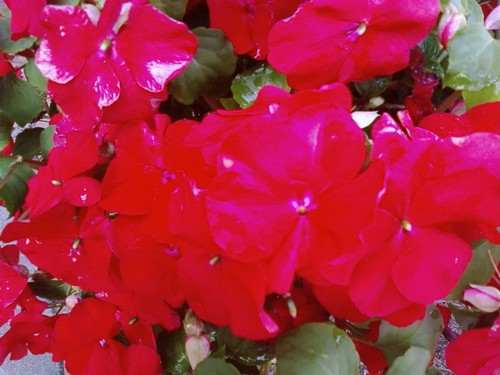 MTABministries's profile picture. I love God, People, Reading and Writing and making new friends.