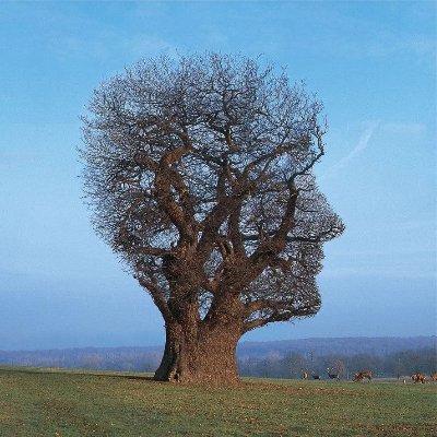 David_Bagnall67's profile picture. Dad of 4, 50 odd, Anti-Fascist, Socialist, Cabinet Maker, Phobic, Music Collector. A Northern Soul. He/Him. Memorial Device ANT.

https://t.co/kbTNFVYJLX