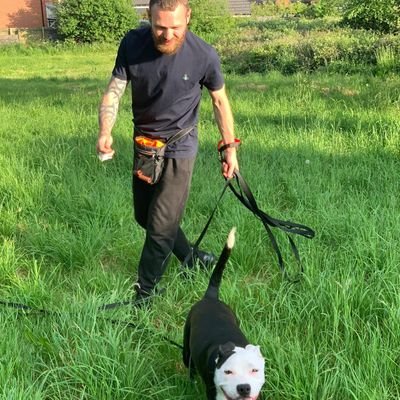 MikesBaked's profile picture. 