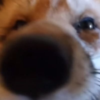 mel_edu28's profile picture. 