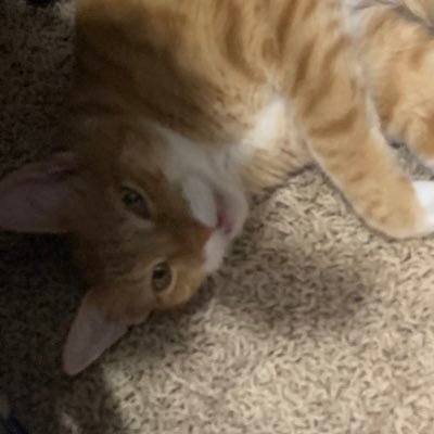 becks_536's profile picture. 