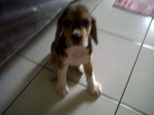 akian18's profile picture. 