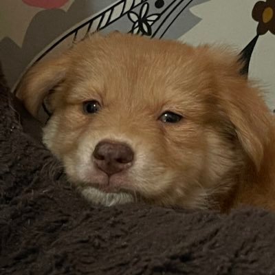 adrianabea4's profile picture. ~RN 🩺💉 ~IG: adrianabea