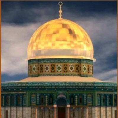 NasreddineS1's profile picture. 