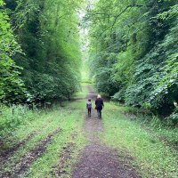 Donna Maguire (@donnama69260221) 's Twitter Profile Photo Donna Maguire (@donnama69260221) 's Twitter Profile Photo