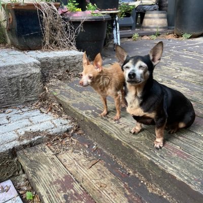 PolishBikeRide's profile picture. 