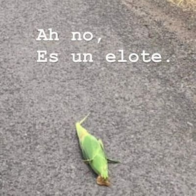 perfil de alguem triste (@AlguemPerfil) / X
