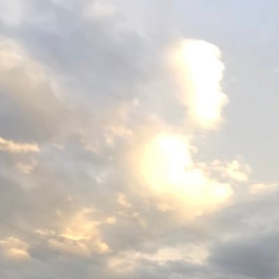 犯罪者予備軍()さんのプロフィール画像