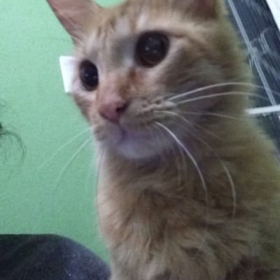 ✨ Mais essência, menos aparência!