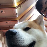 わんころ (@iwmer0606) 's Twitter Profile