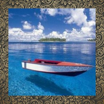 awkcy5yu3qddwh's profile picture. 