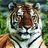 KarlE (@karle001) Twitter profile photo