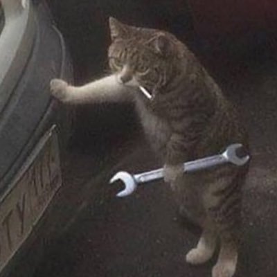 ShiraThePerson's profile picture. idk what to put here