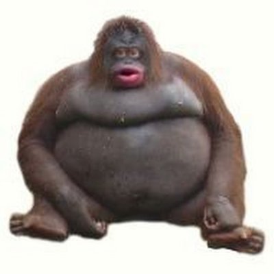 WhyJapanSoClean's profile picture. I play way too many video games, if you're tryna play, lmk. :)