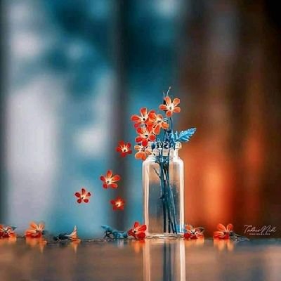 Vss99356288's profile picture. ýyyyyýyyyýyyyìiiiìĕeeéè