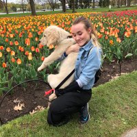 em van f (@emvanf) 's Twitter Profile