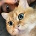 jeffy (@jeffy2530) Twitter profile photo jeffy (@jeffy2530) Twitter profile photo