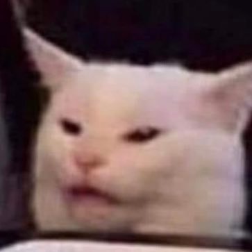 shamarwoods5's profile picture. Love is as love does, and is and does wonderful things.