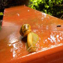 Stanescu Elena - @StanescuElena - Twitter