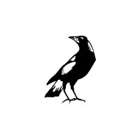 Port Adelaide Cricket Club (@portadelaidecc) 's Twitter Profile