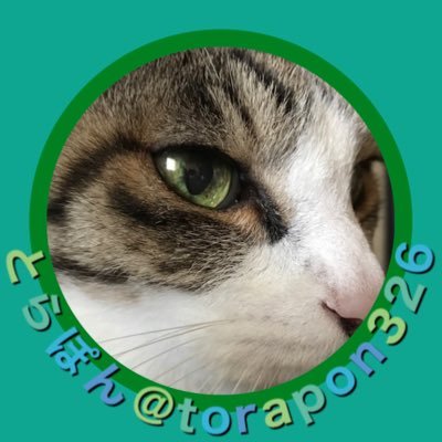 torapon326 Profile Picture