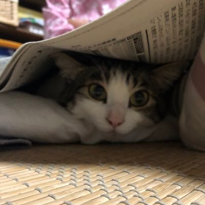 猫と音楽、ときどき酒。「絶対やらない！」と心に決めていたTwitterを始めてしまいました。右も左もわかりません。ご無礼ありましたら、やさしく叱って下さい！