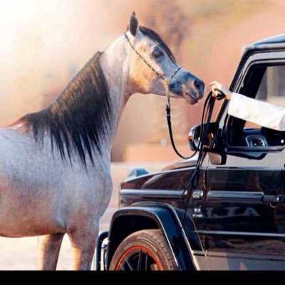 pANSlnT8cmbCQSg's profile picture. استغفر الله والتوب إليه