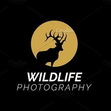 Only photography lovers
And bike lovers 
Wild life🐅