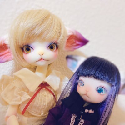 まゆら@ドール垢時々ぬいさんのプロフィール画像