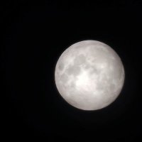 moon(@Rowy304) 's Twitter Profile Photo
