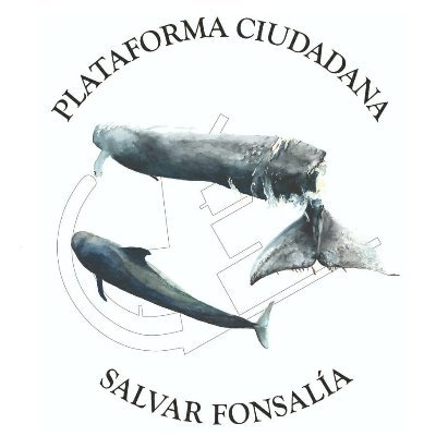 Plataforma Ciudadana en contra del macropuerto de Fonsalía, en el sur de Tenerife, en mitad de una Zona de Especial Conservación (ZEC) y Santuario de Ballenas.