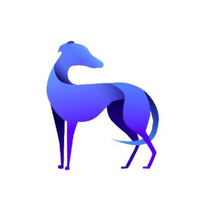 elgalgodigital's profile picture. El galgo digital gestiona tus redes de manera profesional