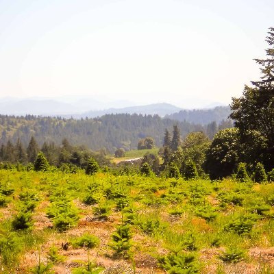 fieldandstream5's profile picture. property management for rural family homes