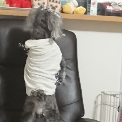 LECROSSBONES's profile picture. 主にプラモデル、30MMを中心に活動しています
ガトリング砲、展開ギミックに弱い