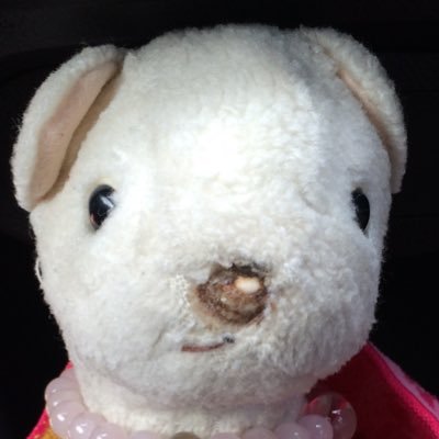 ermine98's profile picture. とにかくおいしいものとお酒大好き会社員。 全力でご飯を食べます‼︎親友はおこじょのぬいぐるみのきゅう。大豆アレルギー持ち
