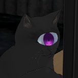 🐾眠り猫 🐰✍_🐶❄_🍼💖 (@bluecode7917906) / X