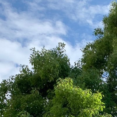 yuriiiiiiiie's profile picture. 