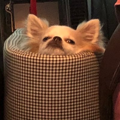 simonsimon556's profile picture. 嘗試各種人事物的實驗家