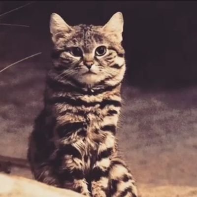 tm88x's profile picture. سيحفظ الله علاقتك بمن هو خير لك ..🖤