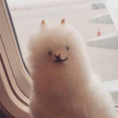 선풍さんのプロフィール画像