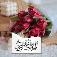 🌿🌷 مع الزمن 🌷🌿 (@arsalan48880) 's Twitter Profile