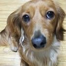 穗積さんのプロフィール画像