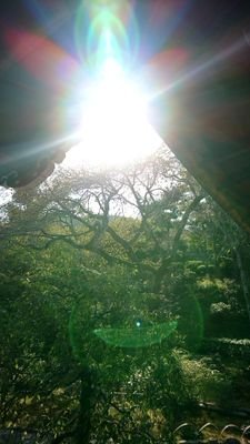 ozL8AfsLuHHazab's profile picture. 龍ちゃんが大好きなドラコミュ受講生です🐉
知り合いにも占いでも毎回なぜか変人だと言われます。
人見知りな変人ですが、繋がって下さった方々に感謝です✨
よろしくお願いいたします🐉
#ドラコミュ