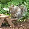 TechieLady1's profile picture. Biology and Physics Technician at an independent school.
Big kid at heart.  
Almost a beekeeper. 
Views are my own.
