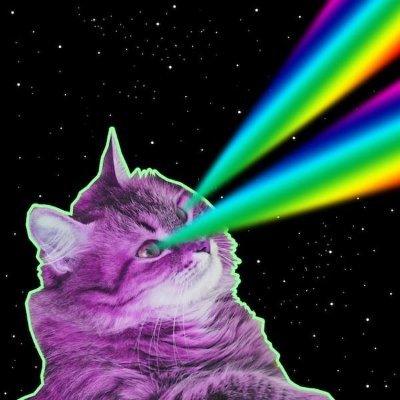 ILoveCatsMore Profile Picture