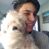 Daniel Ergo (@danielergo_) 's Twitter Profile