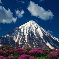 Mostafa (@mostafa_b_70) 's Twitter Profile Photo Mostafa (@mostafa_b_70) 's Twitter Profile Photo